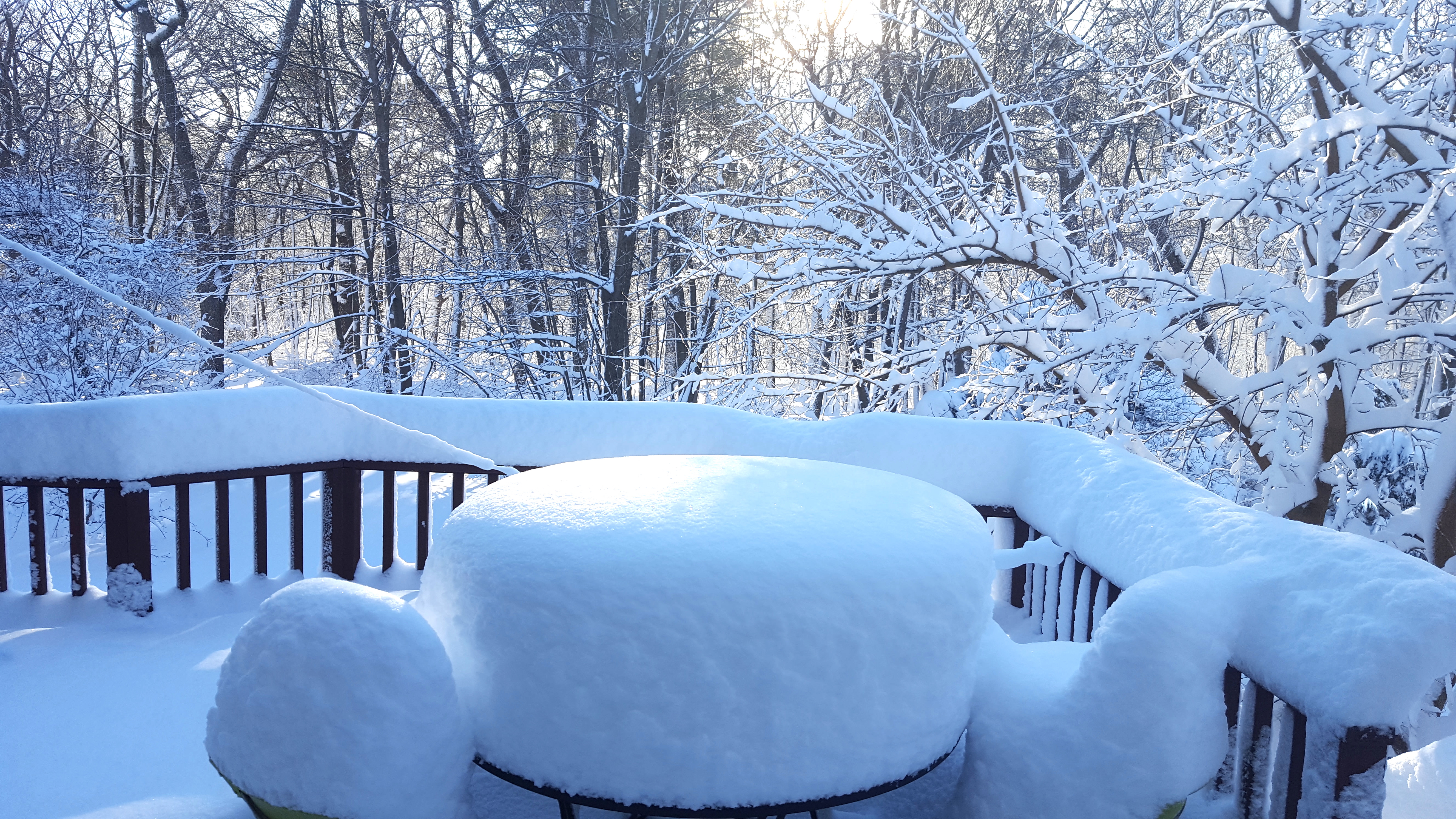 [Snow scene]